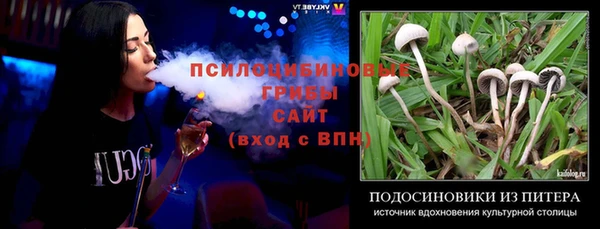 соль курить ск Горняк