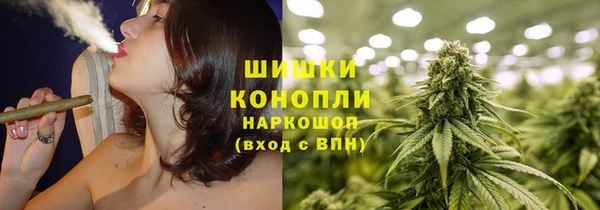 ГАЛЛЮЦИНОГЕННЫЕ ГРИБЫ Алексеевка