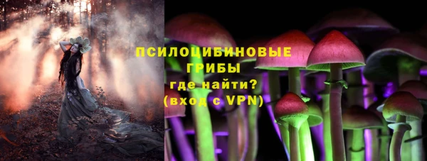 метадон Алексин