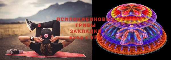 метадон Алексин