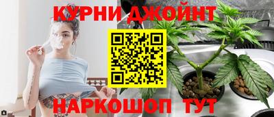шишки Изобильный