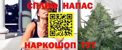 шишки Изобильный