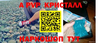 шишки Изобильный