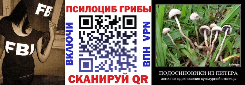 Галлюциногенные грибы мухоморы  Сыктывкар 